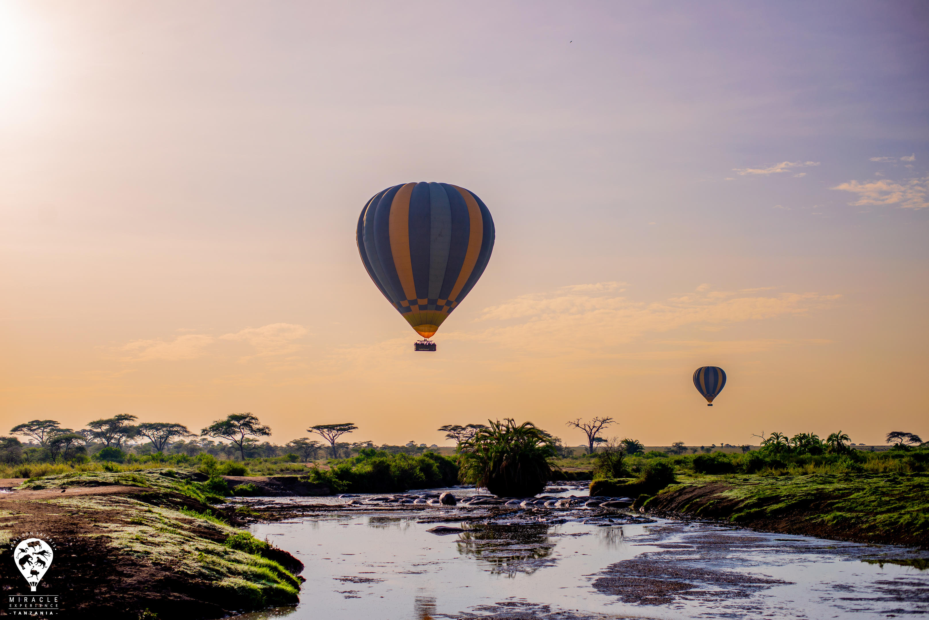 Hot air balloon drifting over the Serengeti plains at sunrise