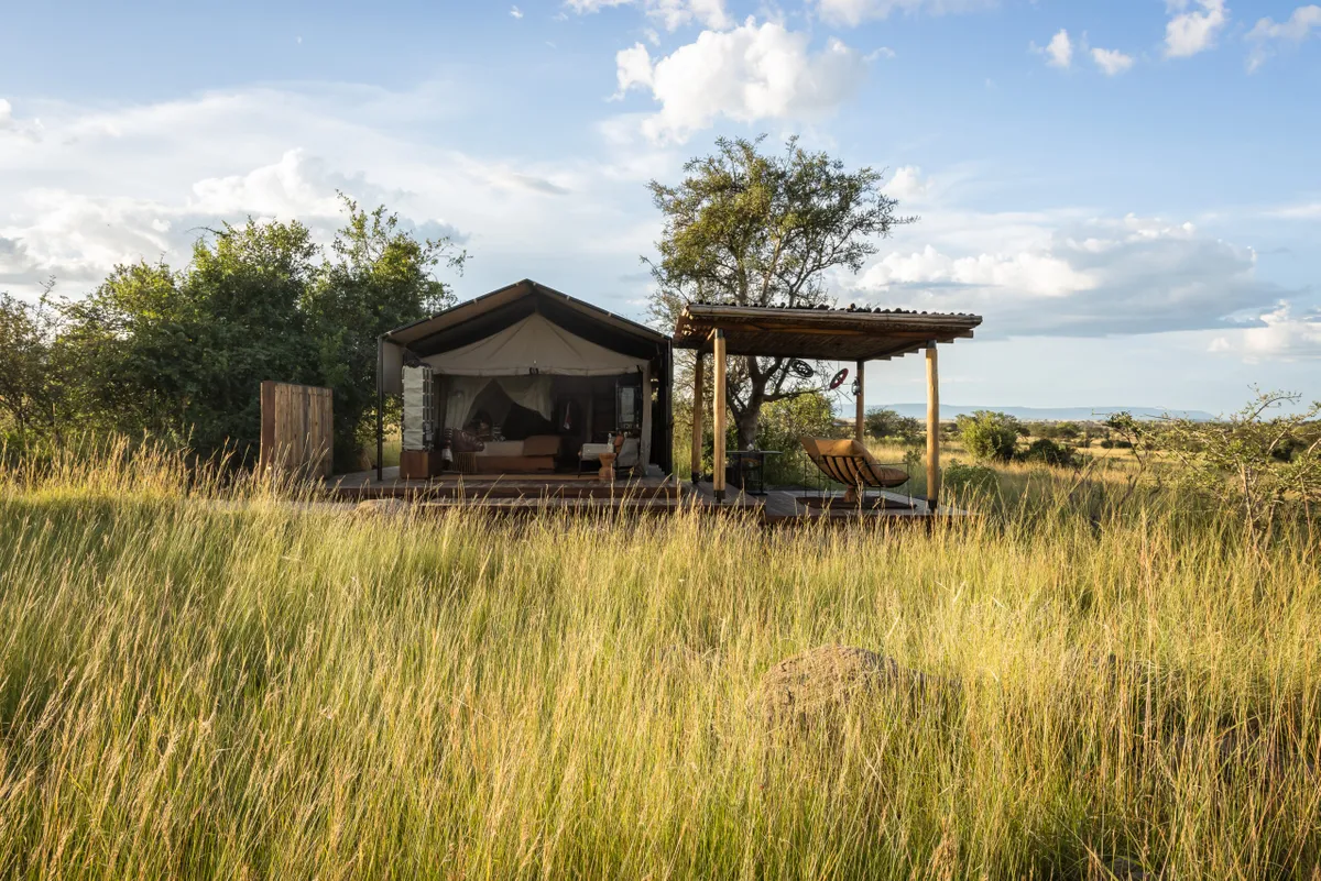 7 Days Serengeti Singita Safari