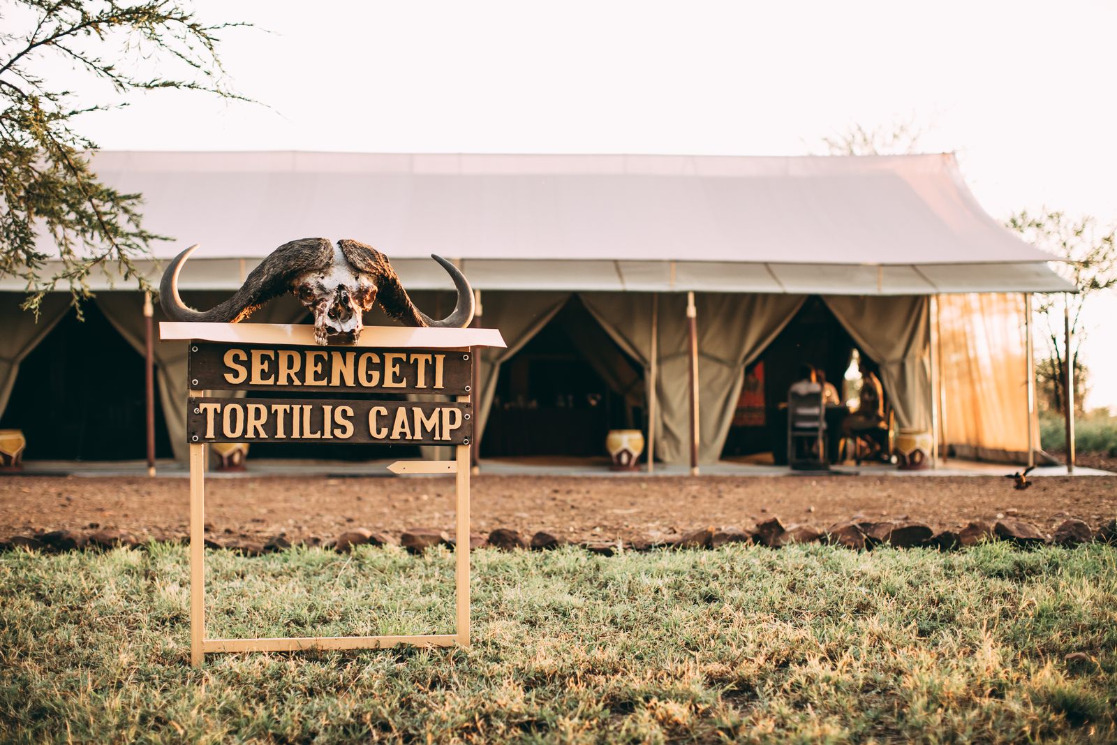 Soroi Amboseli Camp